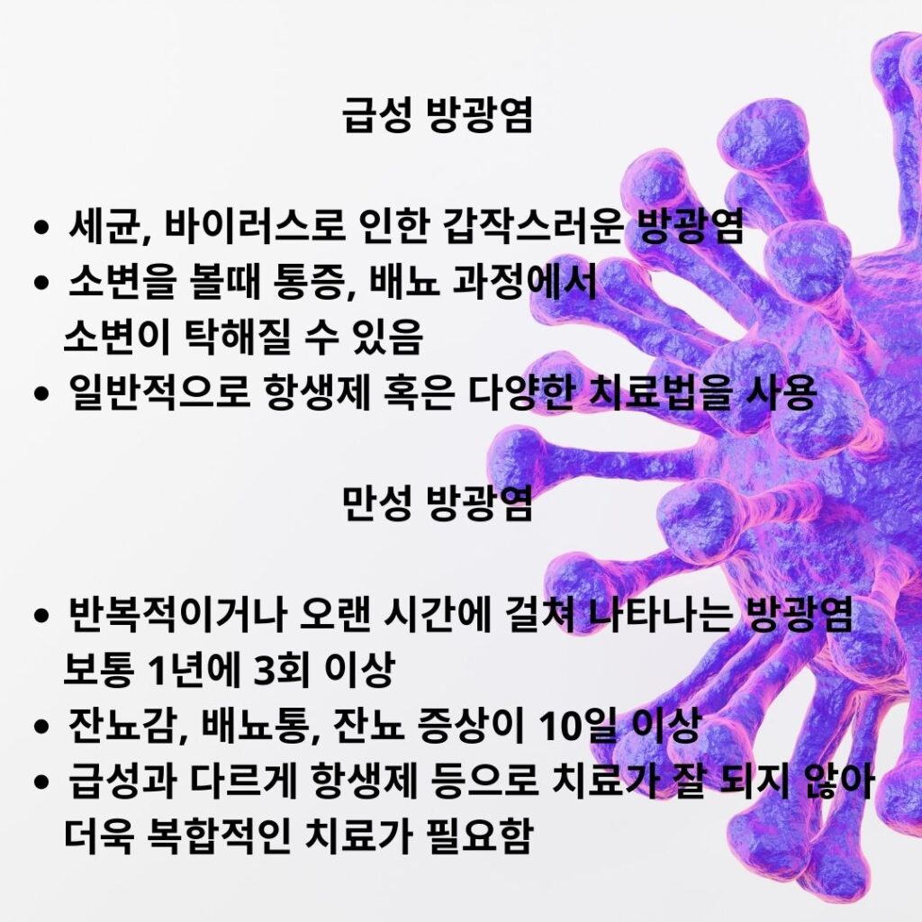 방광염의 종류