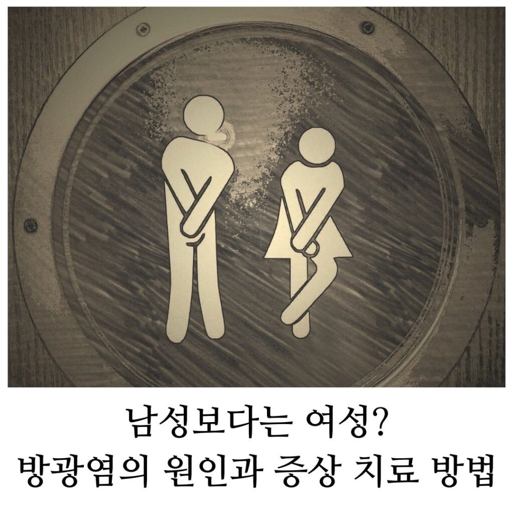 방광염 원인과 증상, 치료 및 예방법