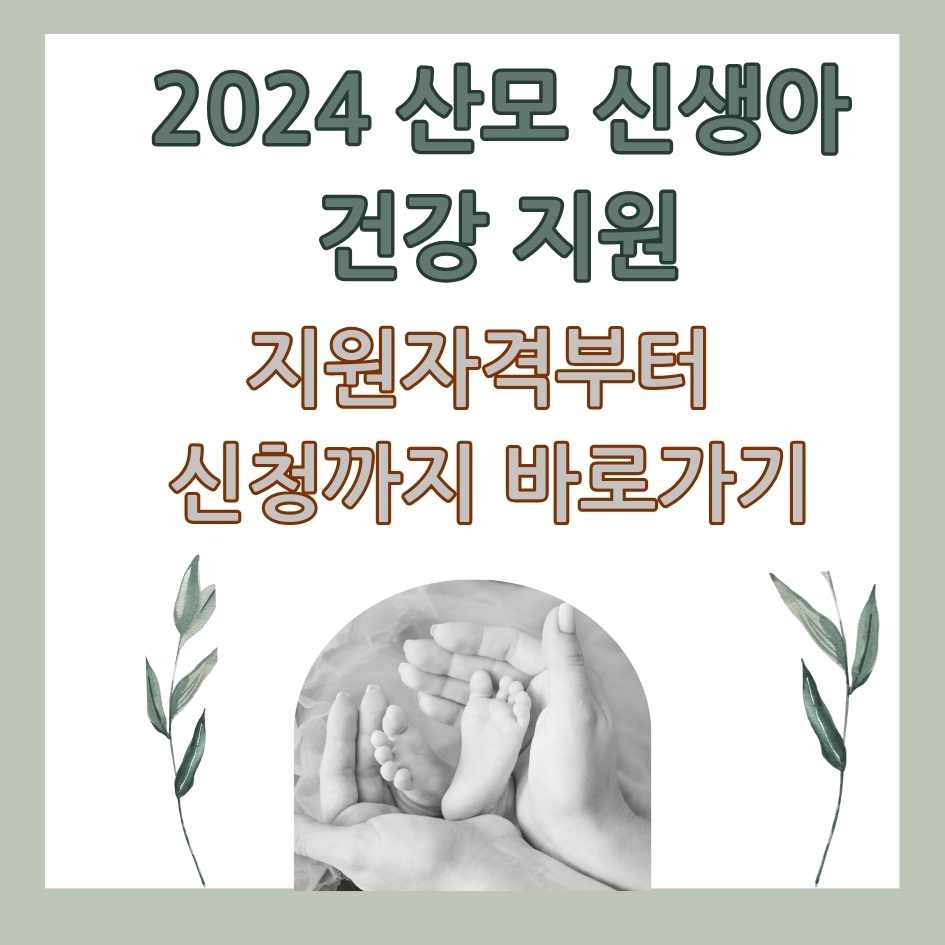 2024 산모 신생아 건강관리 지원사업 총정리