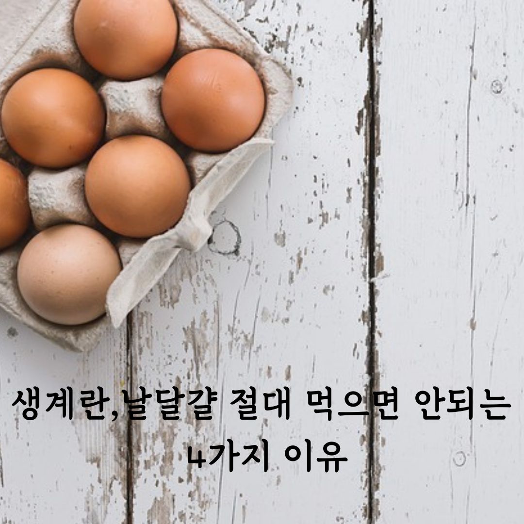 생계란, 날달걀 절대 먹으면 안되는 4가지 이유