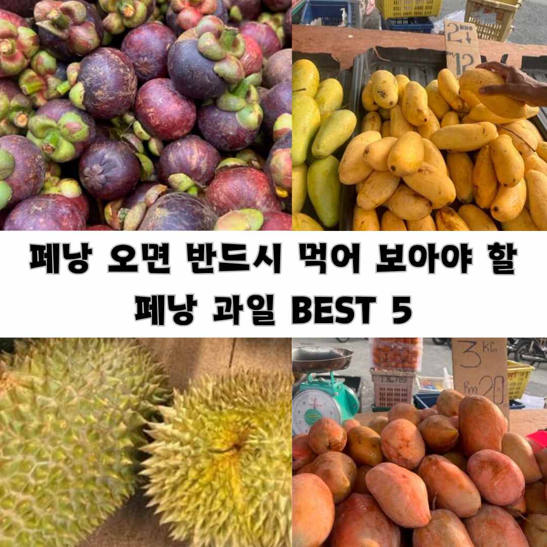 페낭 과일 BEST 5 및 효능