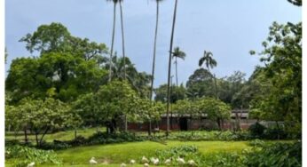 말레이시아 최초의 야간 동물원 타이핑 동물원 (TAIPING ZOO) 후기 2023
