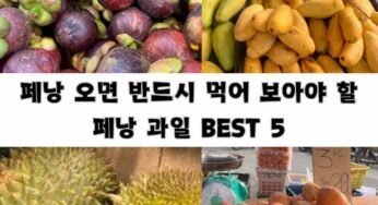 페낭 과일 BEST 5 및 효능